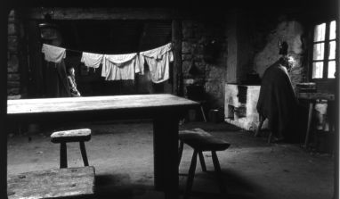 The Turin Horse / A torinói ló by Béla Tarr & Co-director Agnes Hranitzky — Metropolis Cinema